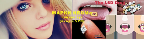 PSILOCYBIN Алексеевка