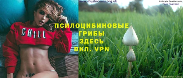 PSILOCYBIN Алексеевка