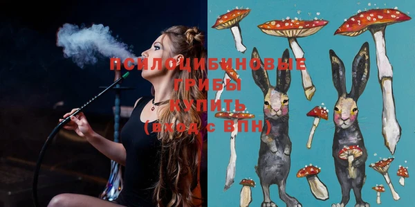 PSILOCYBIN Алексеевка