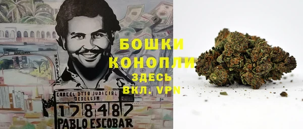 спиды Алексин